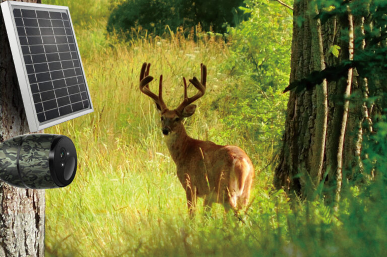 Diy Solar Panel for Game Camera: Sustainable Power Boost!
